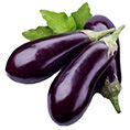 Eggplant